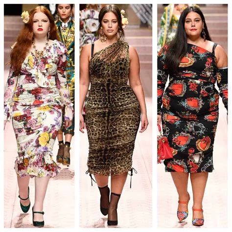 dolce and gabbana plus size